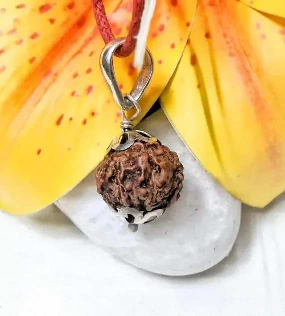 10 Mukhi Rudraksha Indonesia in silver pendant
