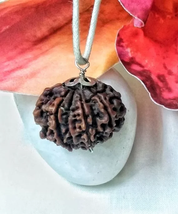 10 Mukhi Rudraksha Nepal 26.28mm in silver pendant