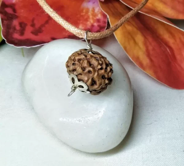 12 Mukhi Rudraksha Indonesian in silver Pendant