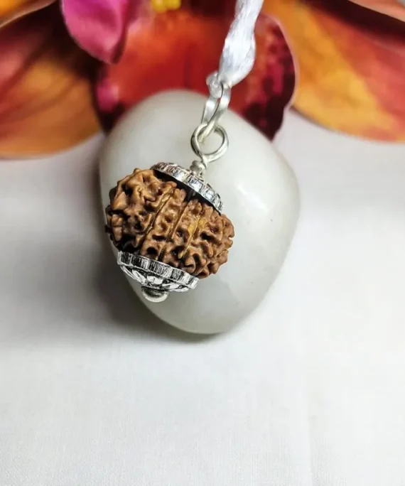 13 Mukhi Rudraksha Nepal, 22.53 mm size in silver pendant