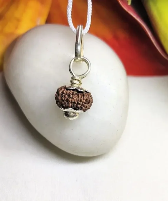 13 Mukhi Rudraksha Indonesian in silver pendant