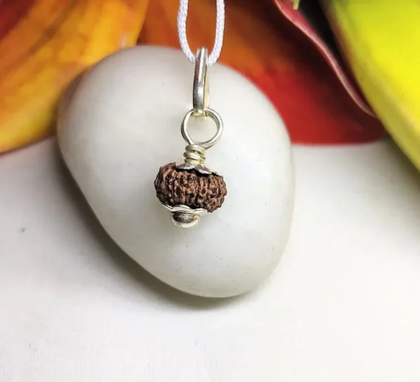13 Mukhi Rudraksha Indonesian in silver pendant