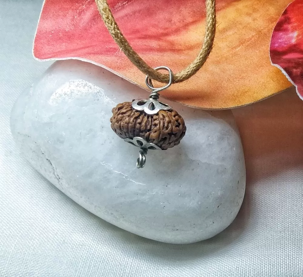 20 Mukhi Rudraksha Indonesia, 13.38mm size in silver pendant