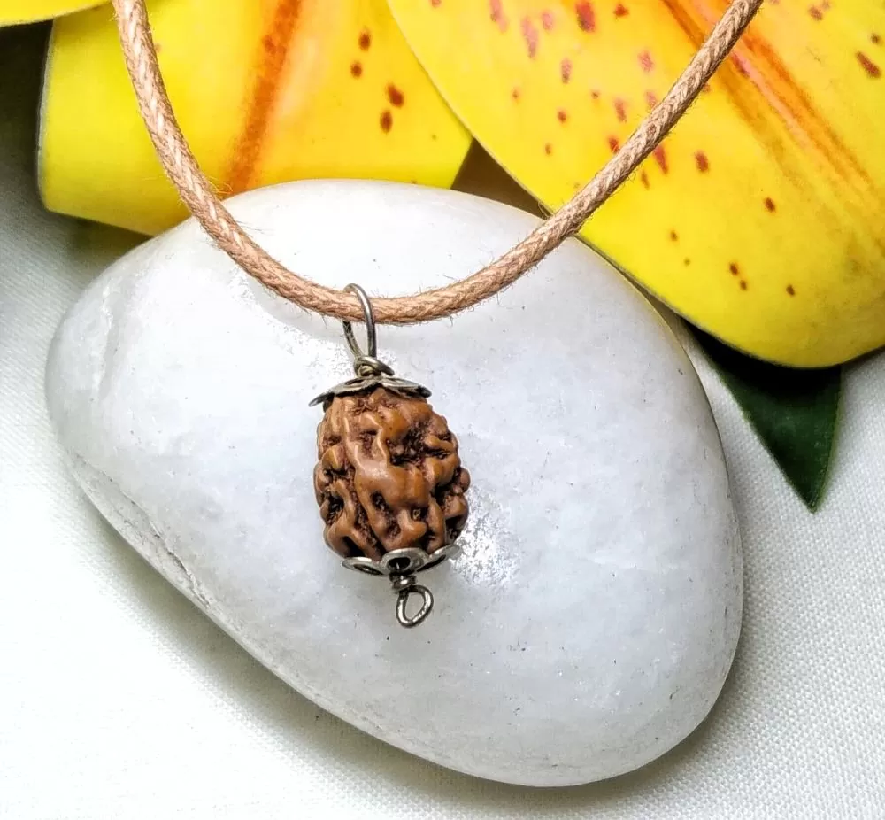 3 Mukhi Rudraksha Indonesian, in silver pendant