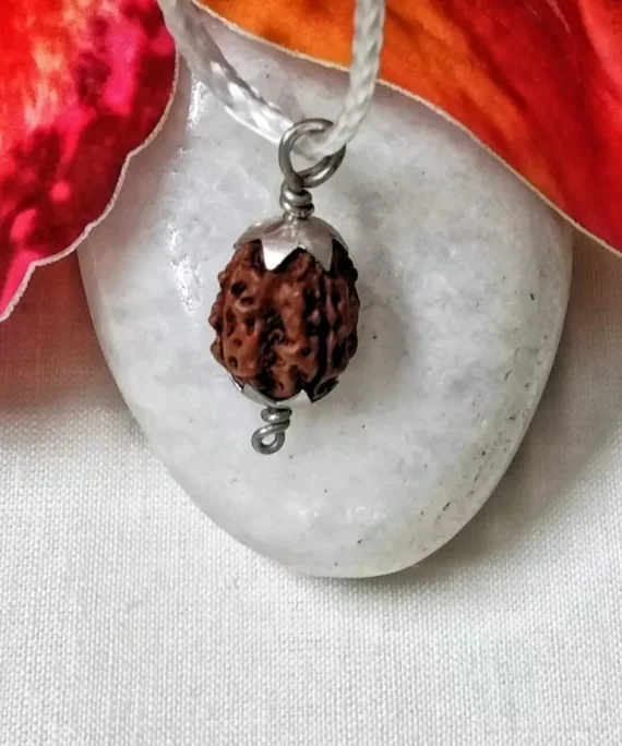 4 Mukhi Rudraksh Indonesia in silver pendant