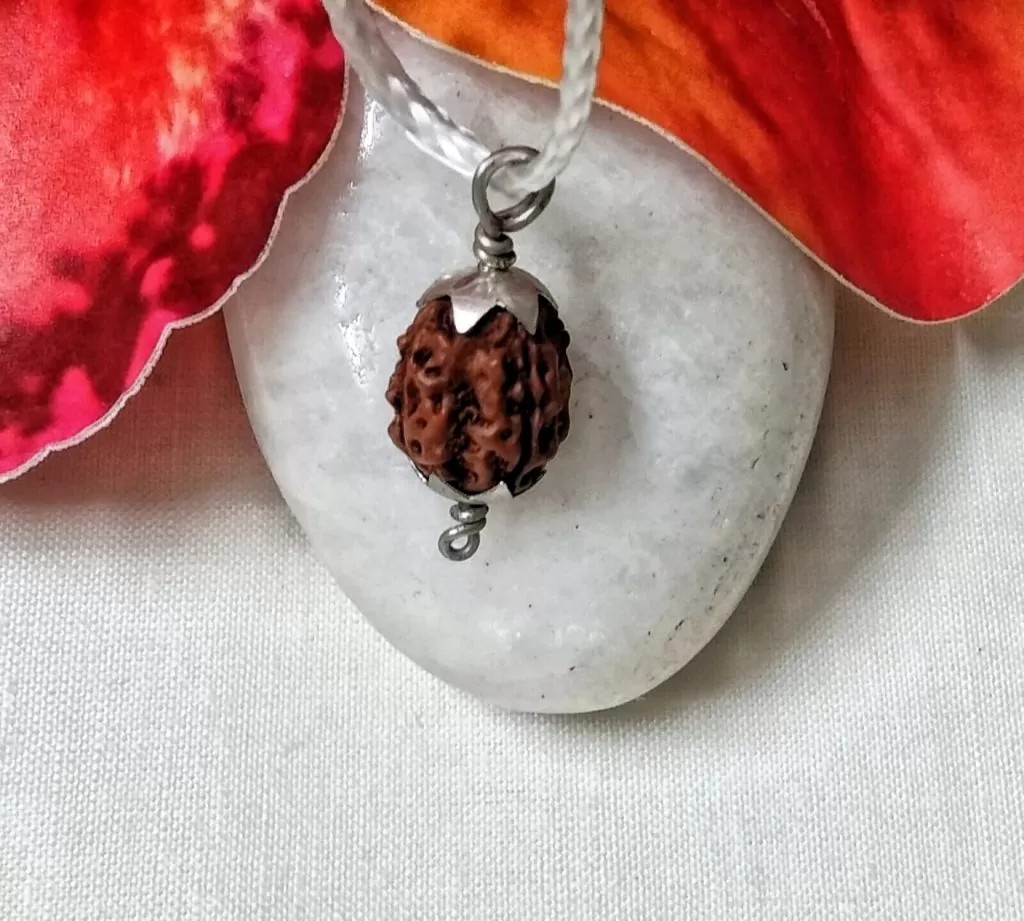 4 Mukhi Rudraksh Indonesia in silver pendant