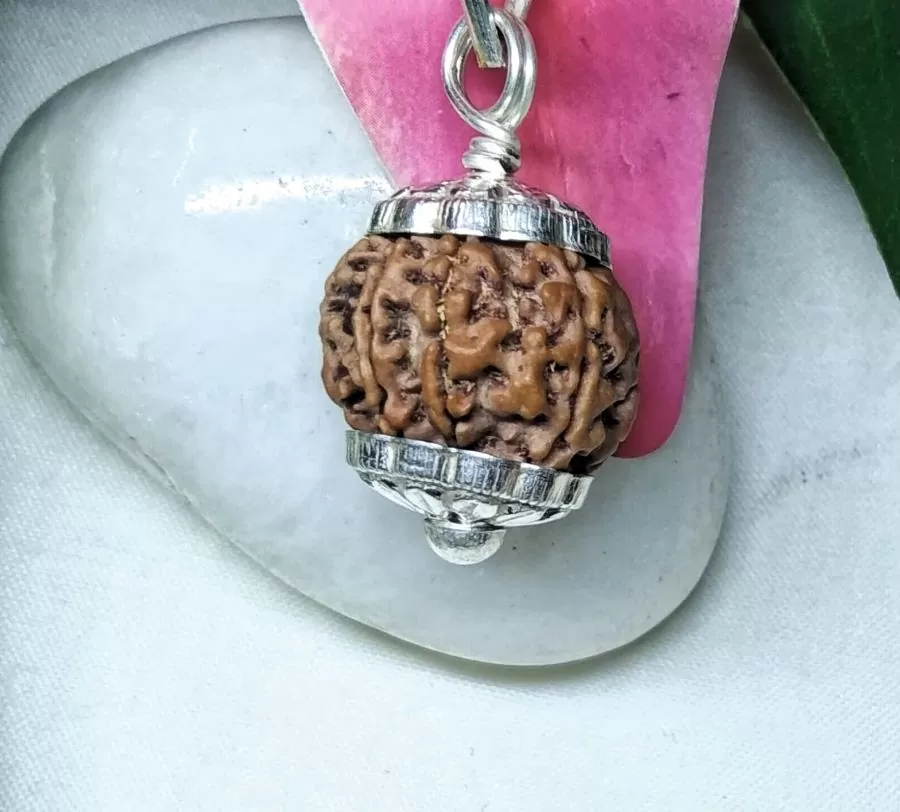 8 Mukhi Rudraksha Nepal, 19.80 mm size in silver pendant
