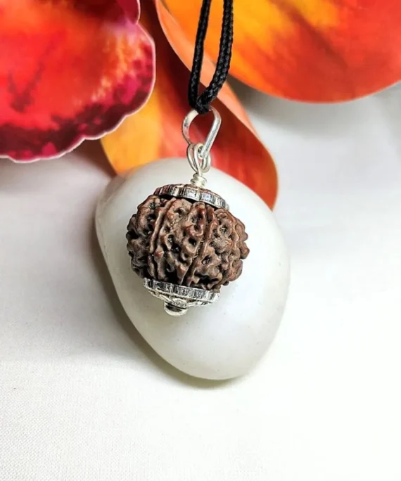 9 Mukhi Rudraksha Nepal, 22.85mm size in silver pendant