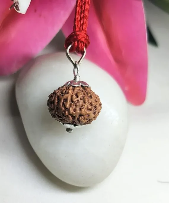9 Mukhi Rudraksha Indonesian