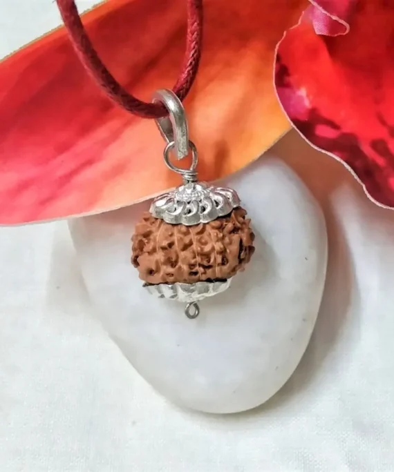 11 Mukhi Rudraksha Indonesian in silver pendant