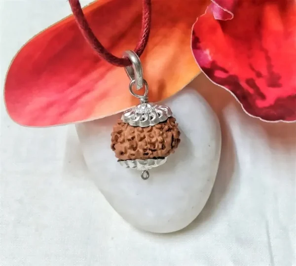 11 Mukhi Rudraksha Indonesian in silver pendant